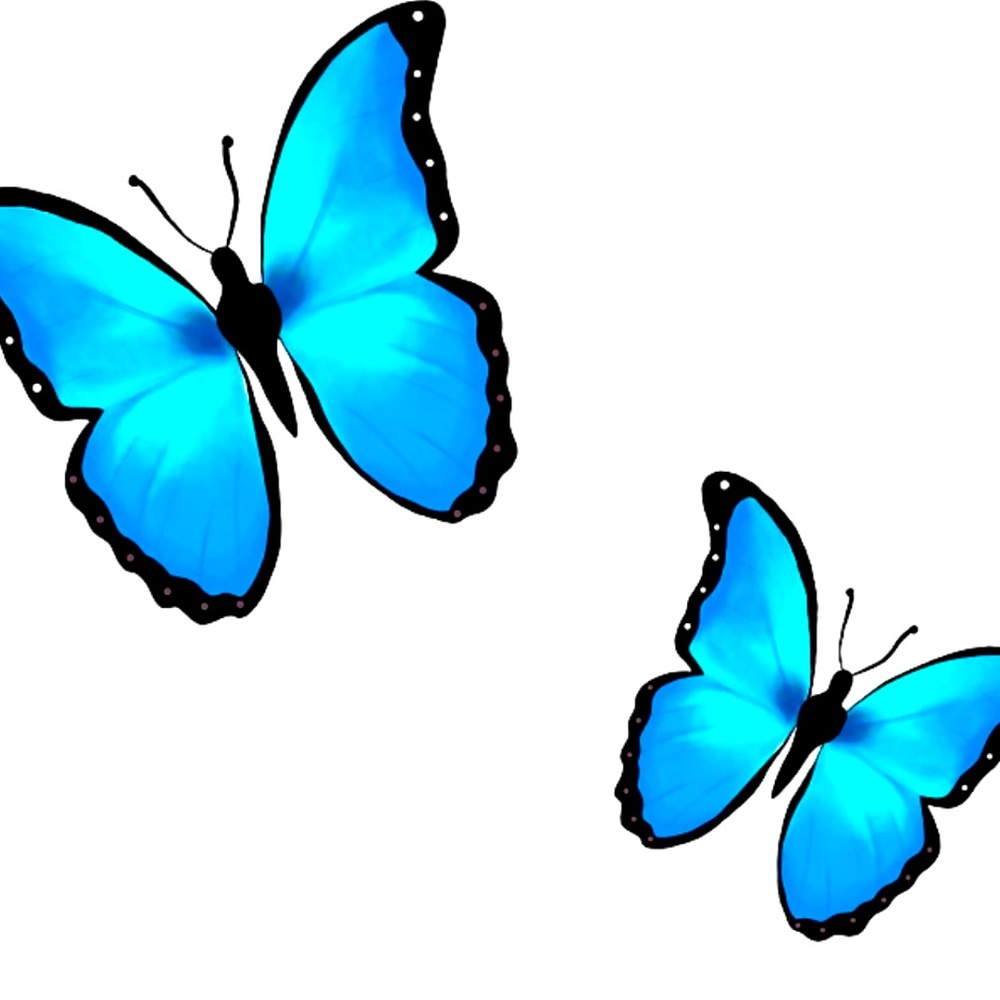 ALL 🦋 ARE 2 for $20 !! 🦋🦋🦋